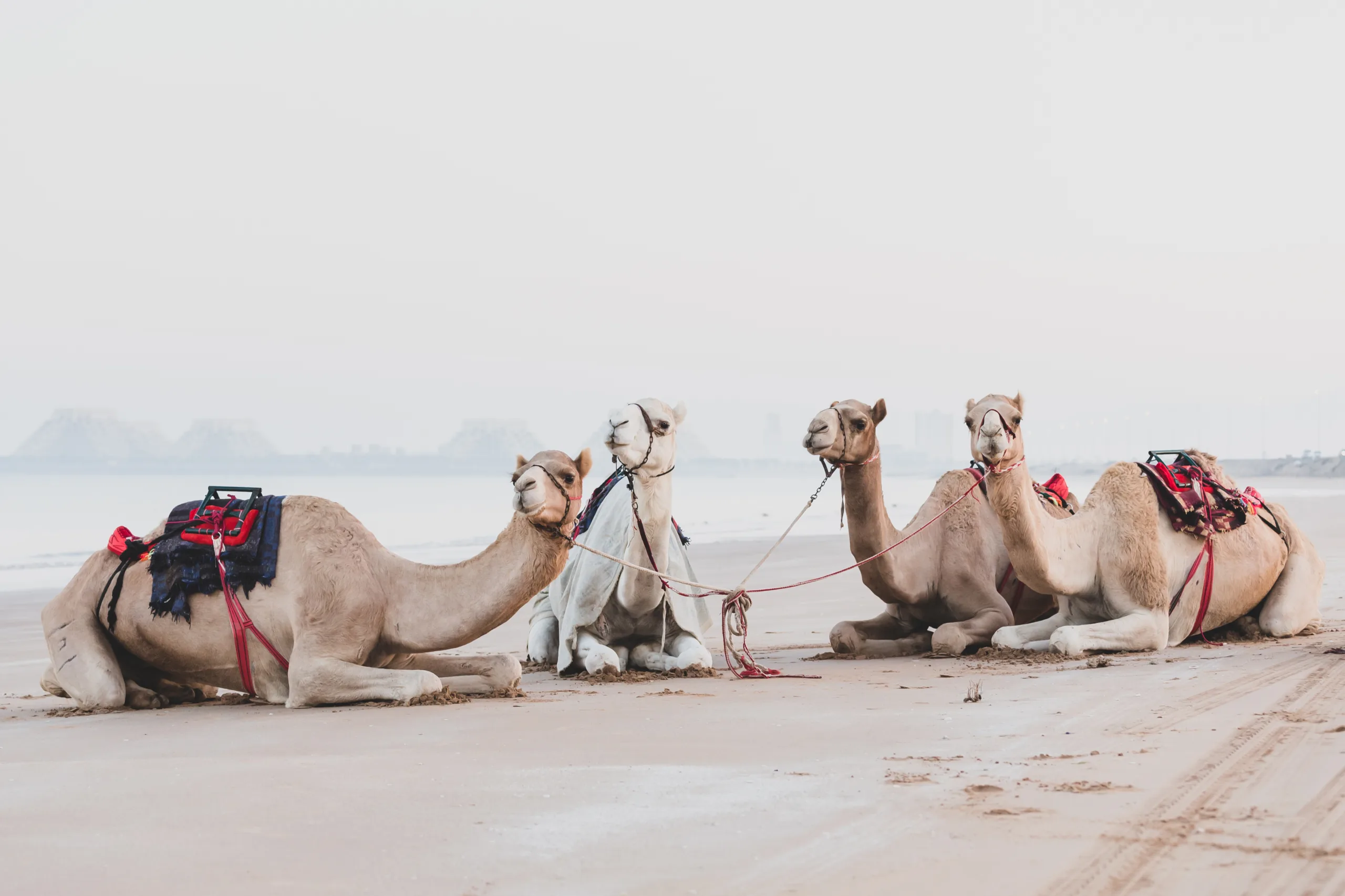 Cool by Nature: Why Ras Al Khaimah Is the UAE’s Summer Escape