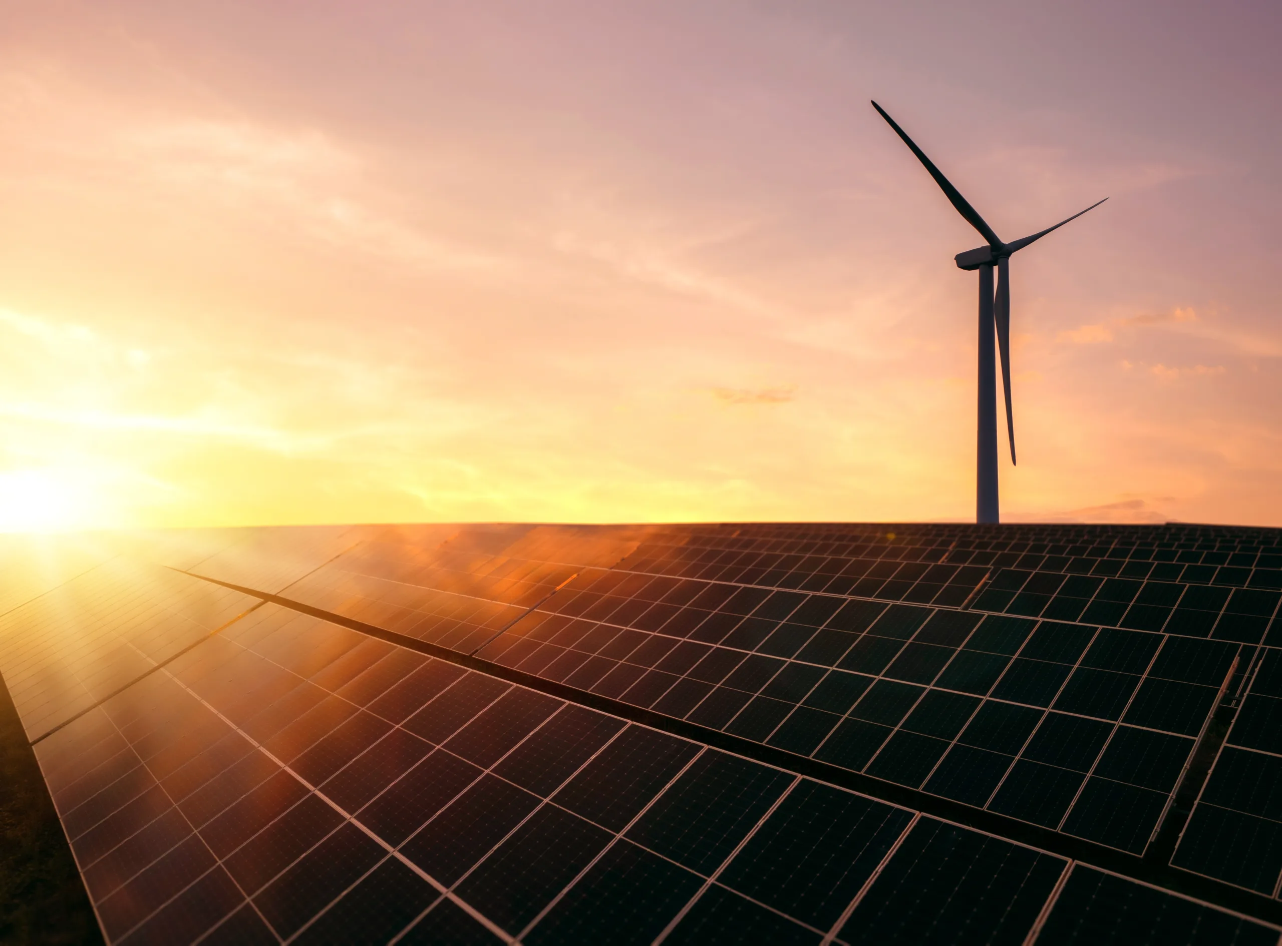Egypt flags funding and skills gaps as it pursues renewables push and hydrogen ambitions