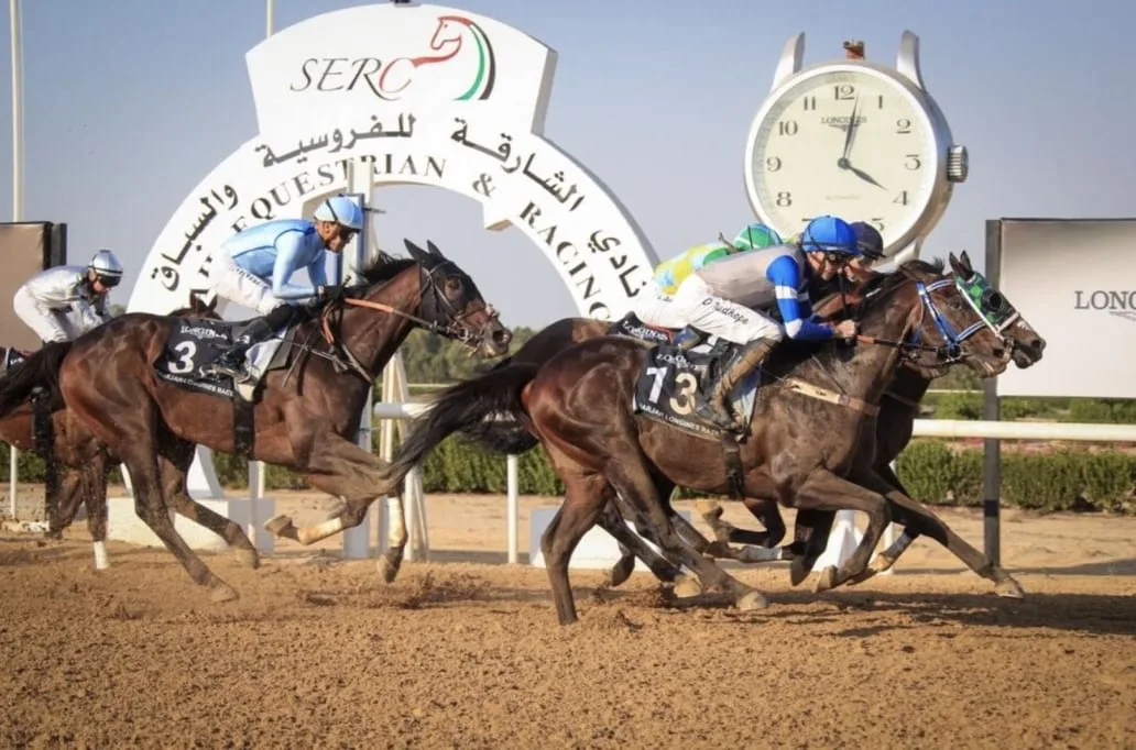 Sharjah Equestrian and Racing Club opens new 2025-2026 season