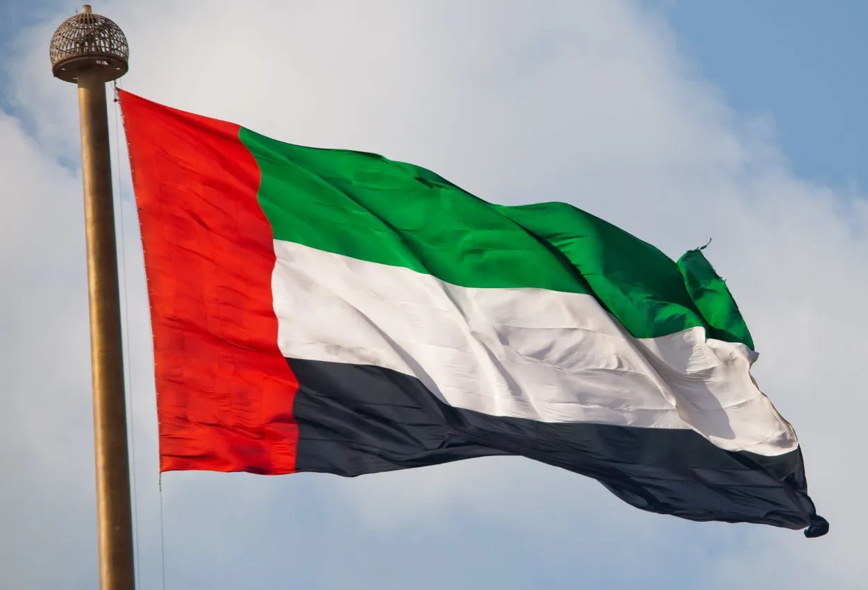 UAE flag