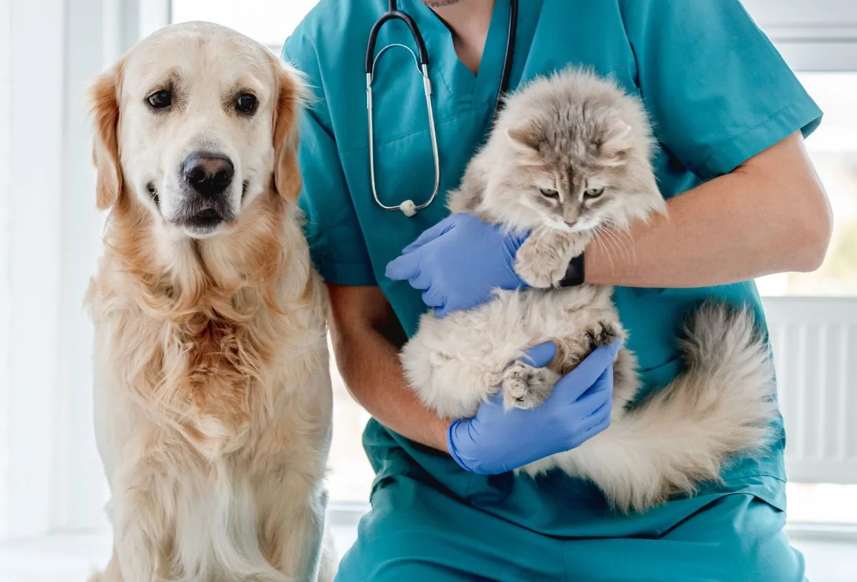 UAE Government issues Federal Decree-Law on veterinary medical products, veterinary pharmaceutical establishments