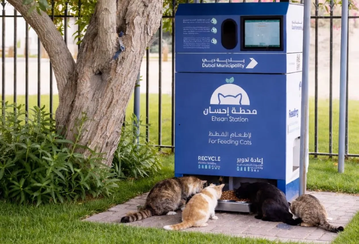 Dubai Municipality launches ‘Ehsan Stations’ initiative to feed stray animals