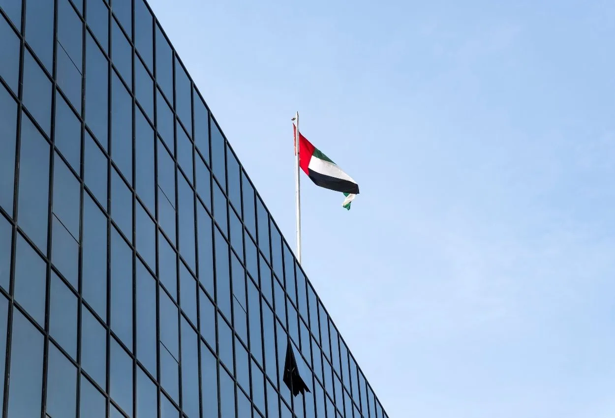 UAE flag