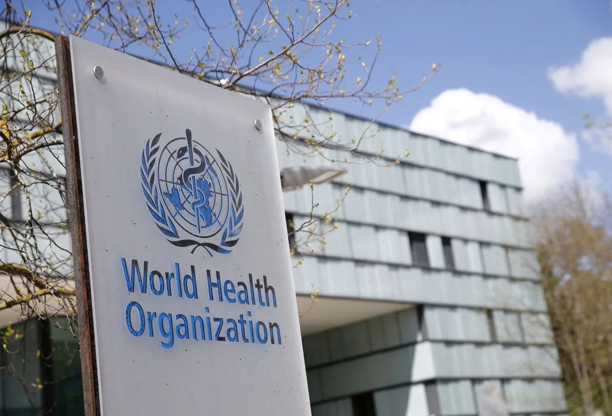 WHO confirms Hantavirus outbreak on cruise ship MV Hondius poses low global risk