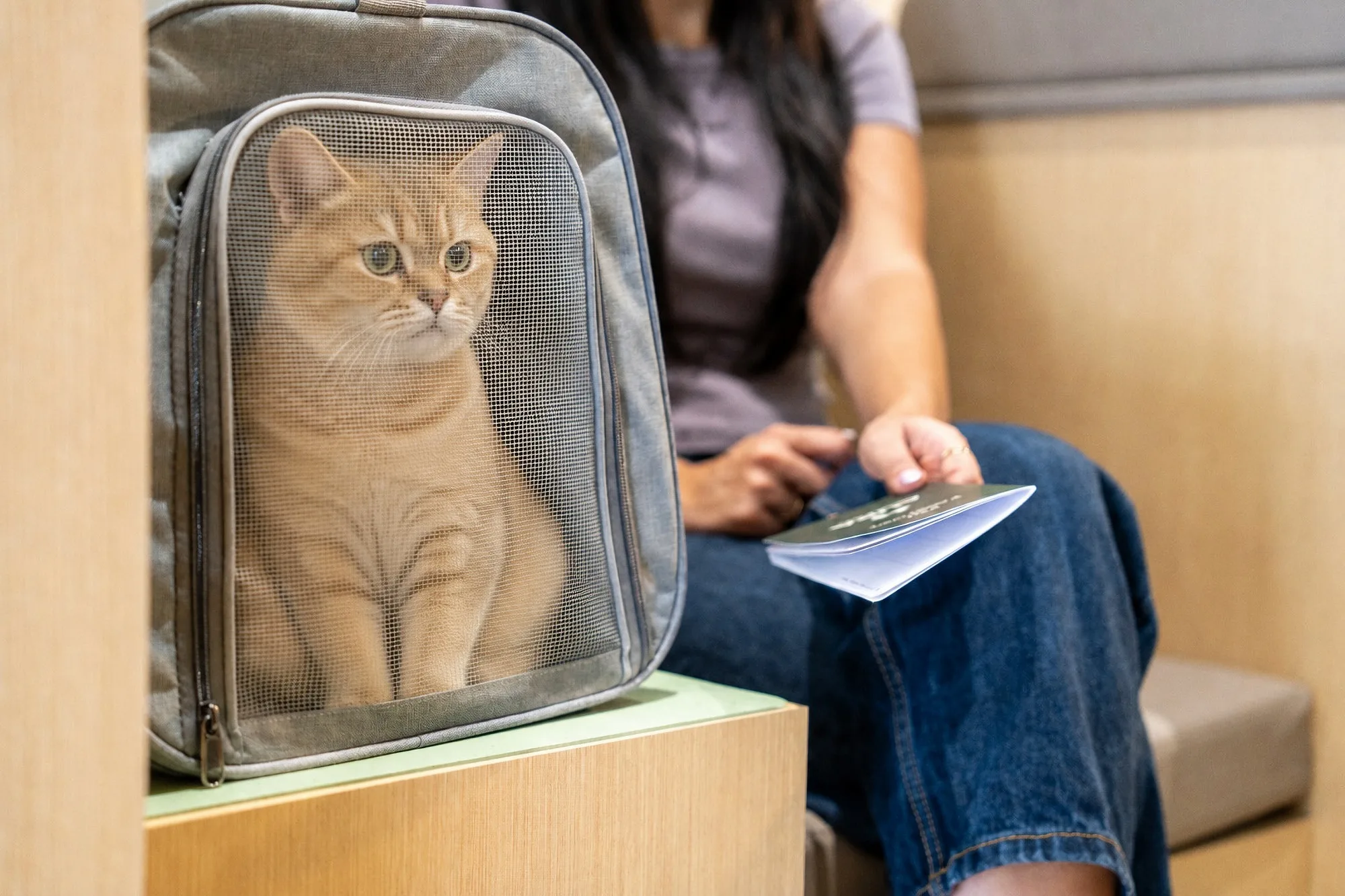 The Petshop opens Aura Veterinary Center in Dubai