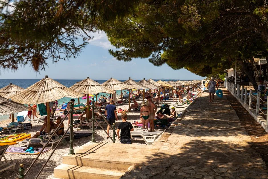 Europe heatwave kills more than 1,300, WHO says