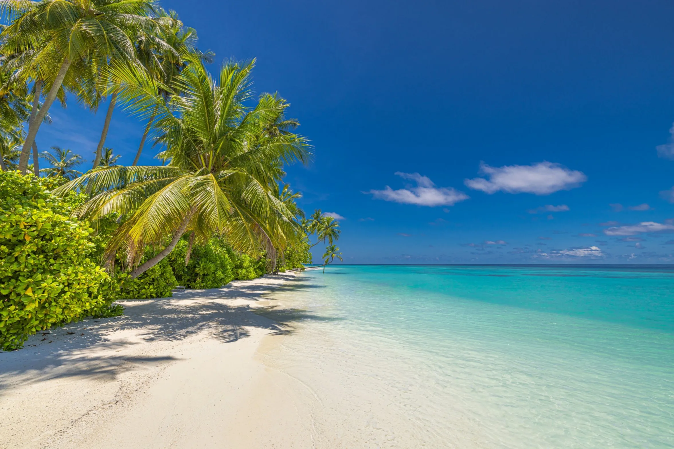 dnata Travel brings back mystery resort bookings for Maldives