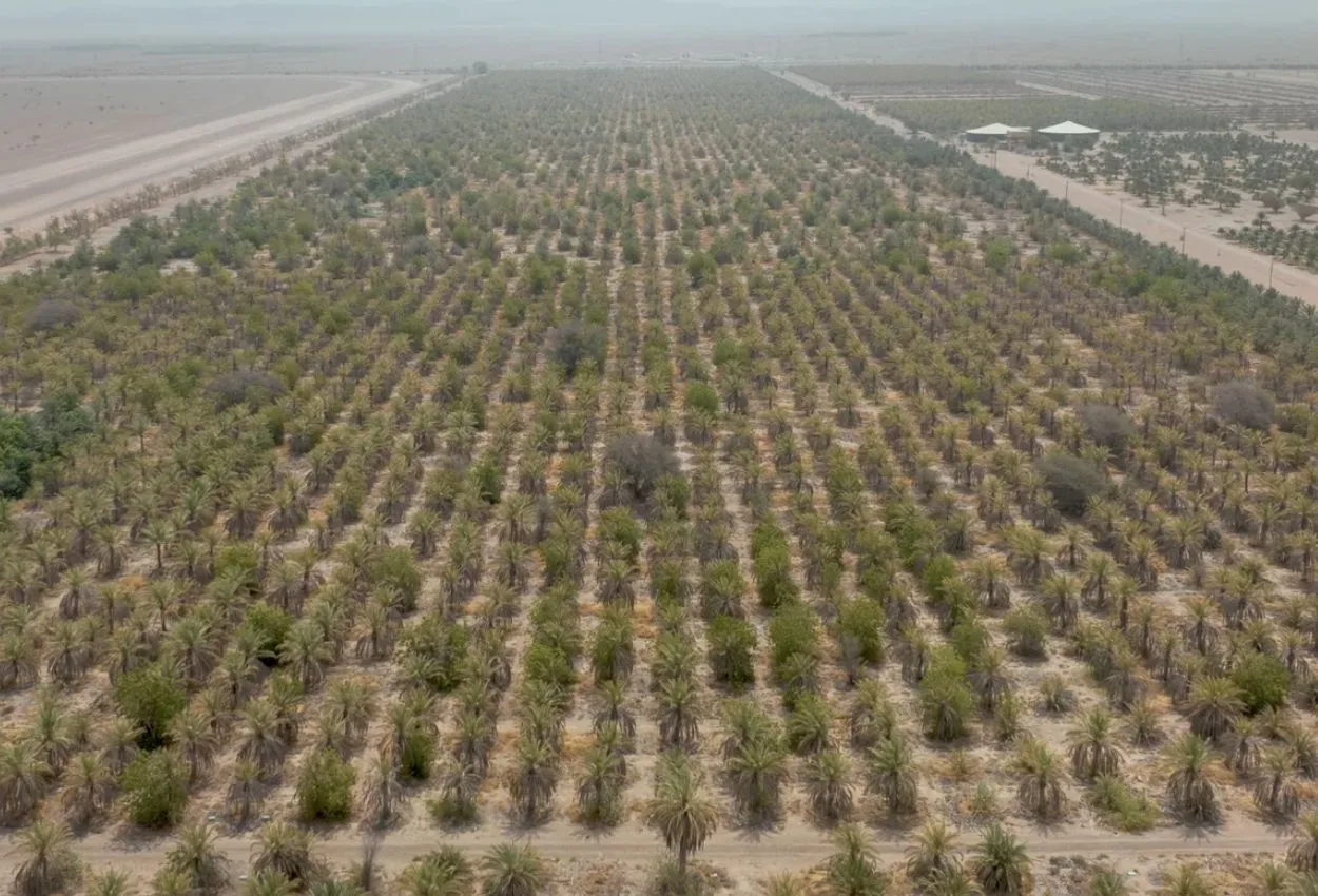 Abu Dhabi launches housing loans on subdivided farm land