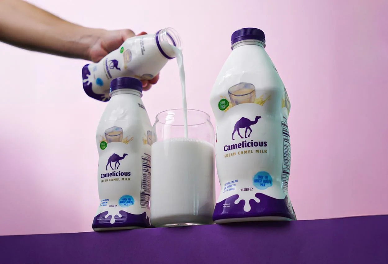 EXCLUSIVE: Camelicious to launch new products within three months as UAE camel milk demand grows
