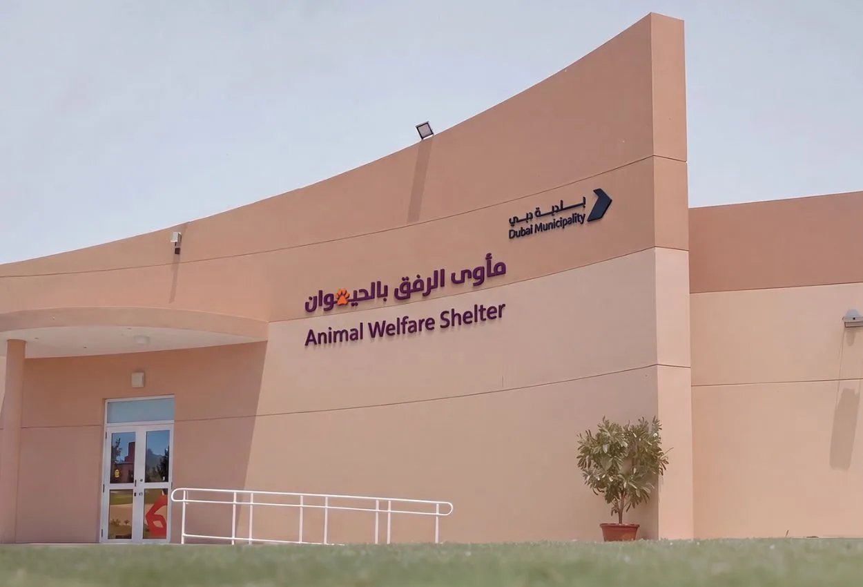 Dubai Municipality opens new integrated pet shelter in Warsan