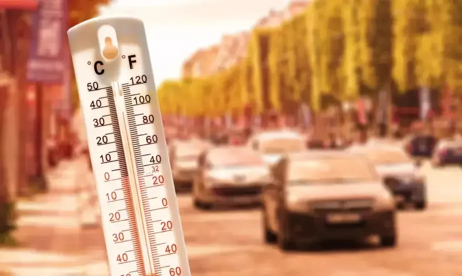 Europe records more than 10,000 excess deaths due to the heatwave