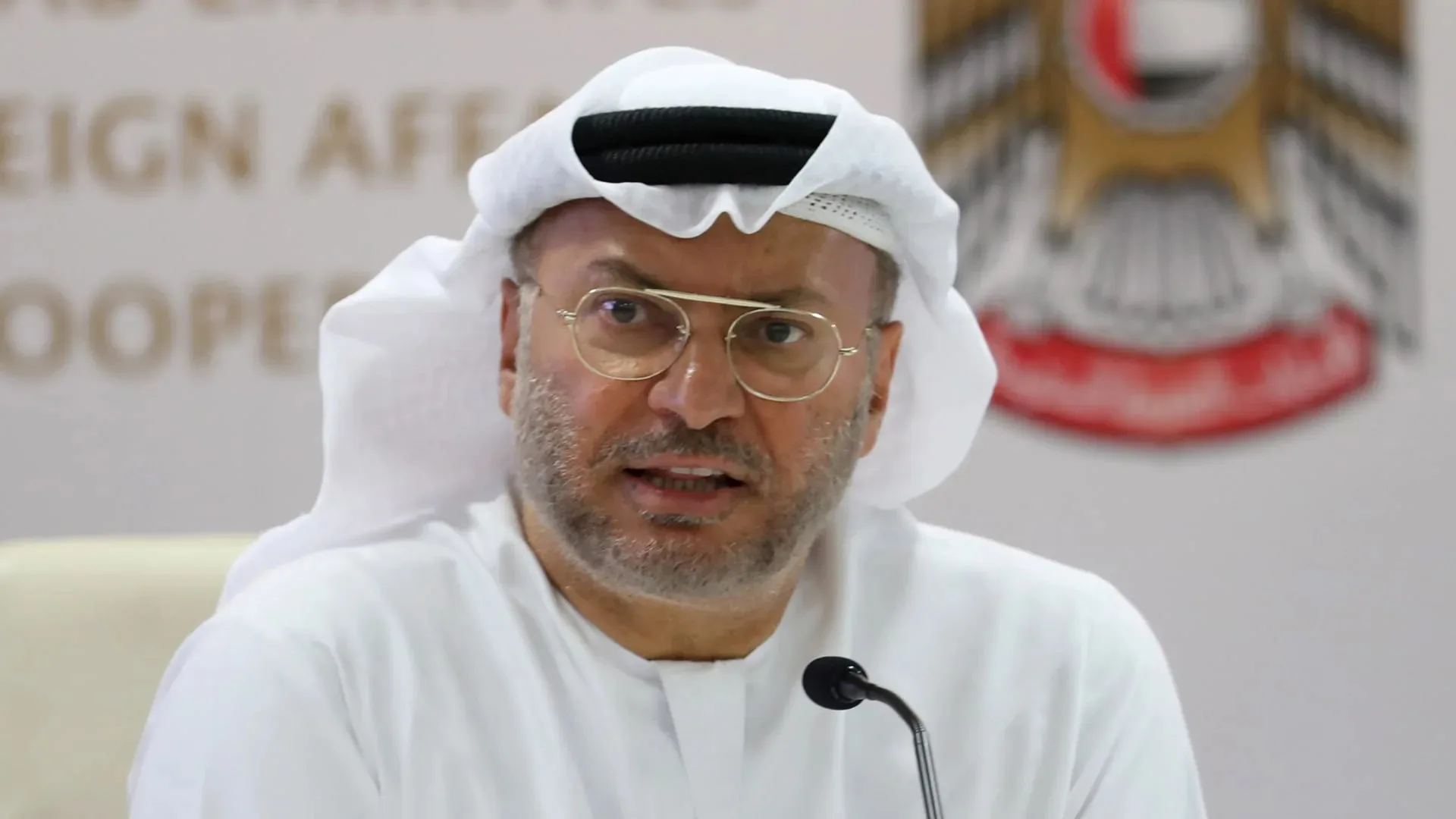 Gargash dismisses rumours on Iran, visas as disinformation