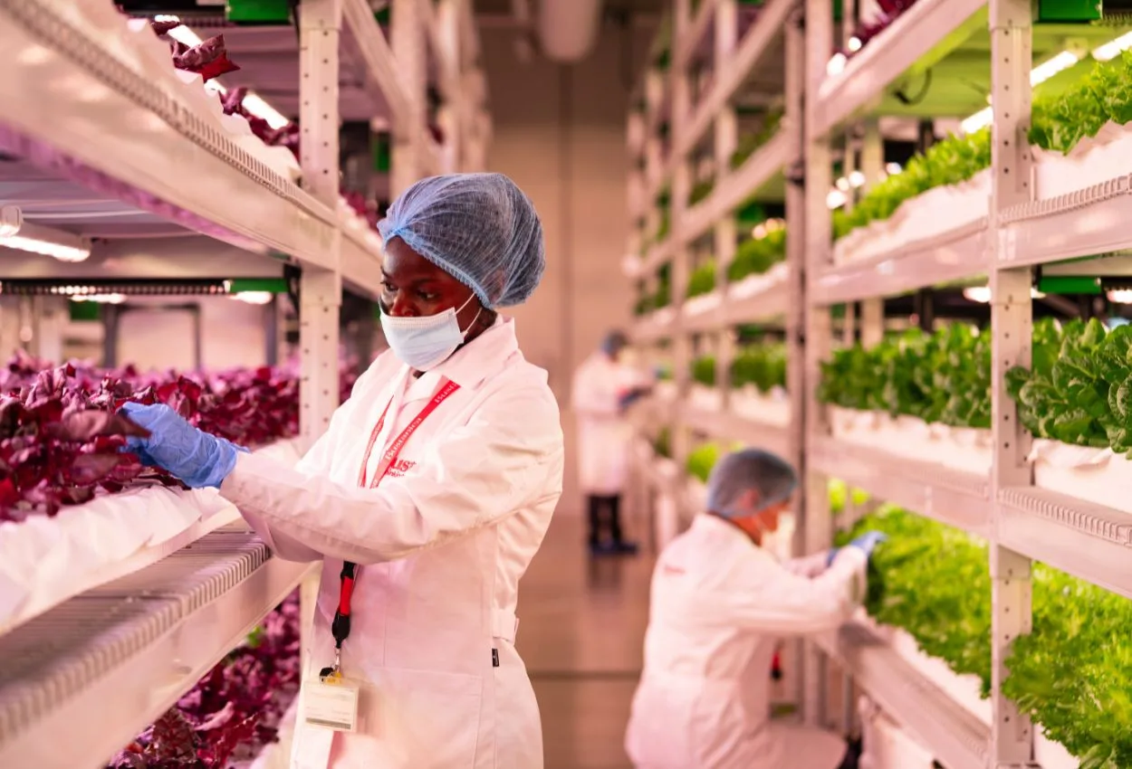 From farm-to-doorstep: How Careem delivers a tomato in 15 minutes
