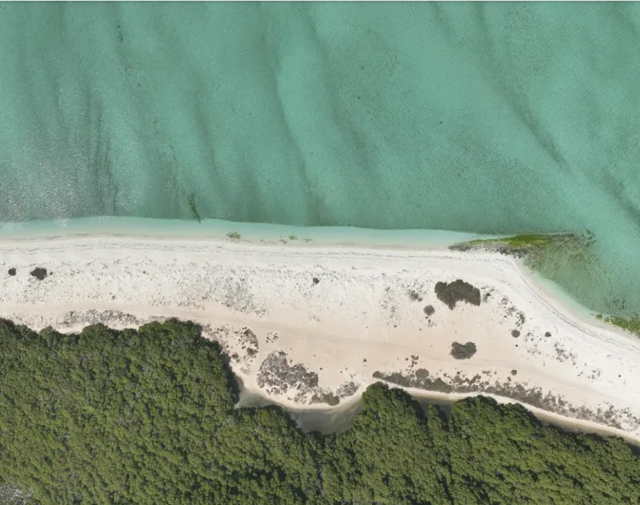 Abu Dhabi launches digital guide to its 200+ islands