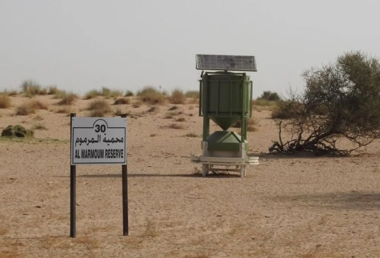 UAE-built AI feeder tracks and feeds wildlife automatically